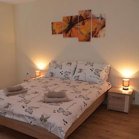 Apartment Marija 斯雷姆斯卡米特罗维察 外观 照片