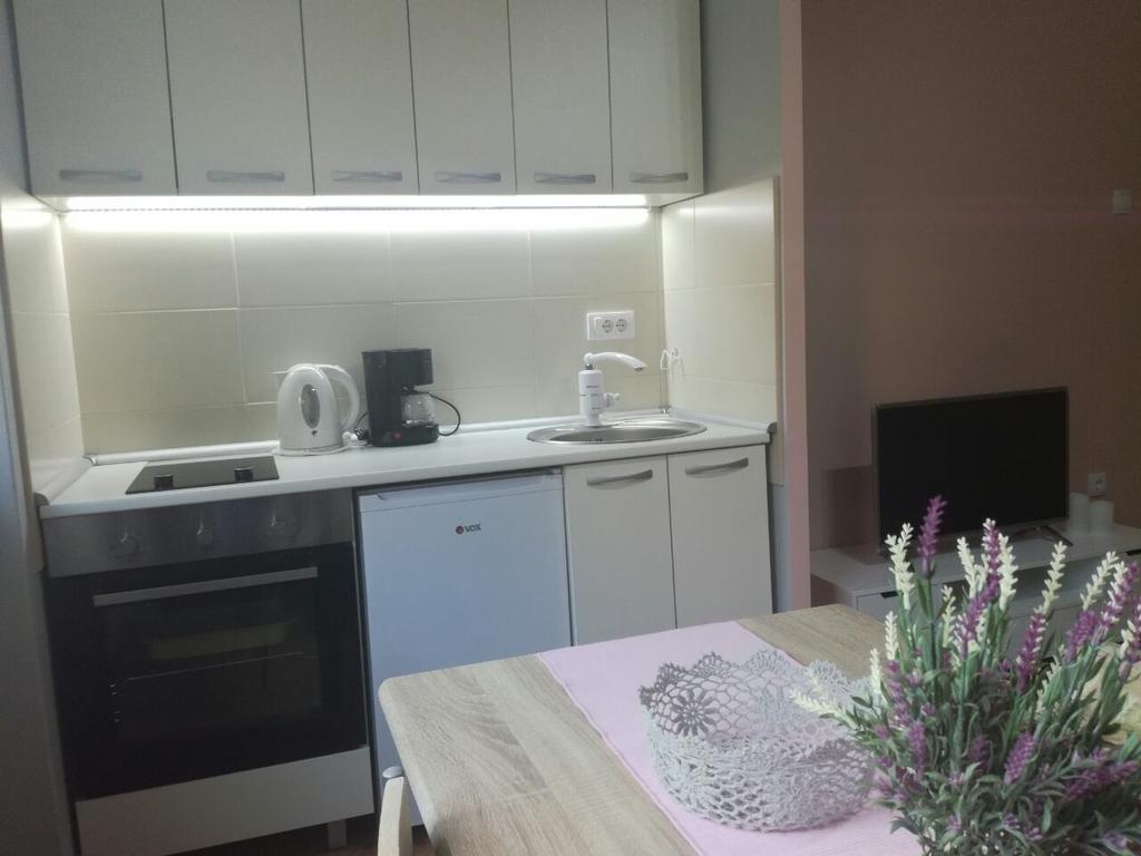 Apartment Marija 斯雷姆斯卡米特罗维察 外观 照片