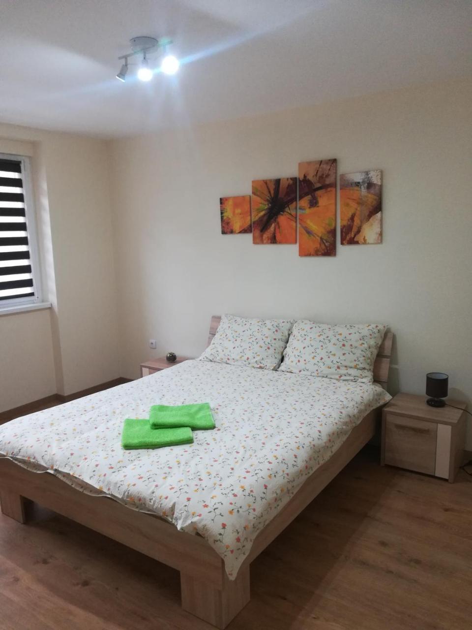 Apartment Marija 斯雷姆斯卡米特罗维察 外观 照片
