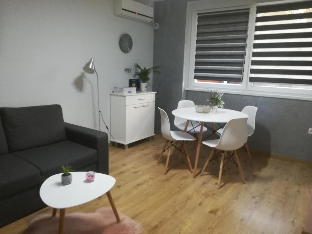 Apartment Marija 斯雷姆斯卡米特罗维察 外观 照片