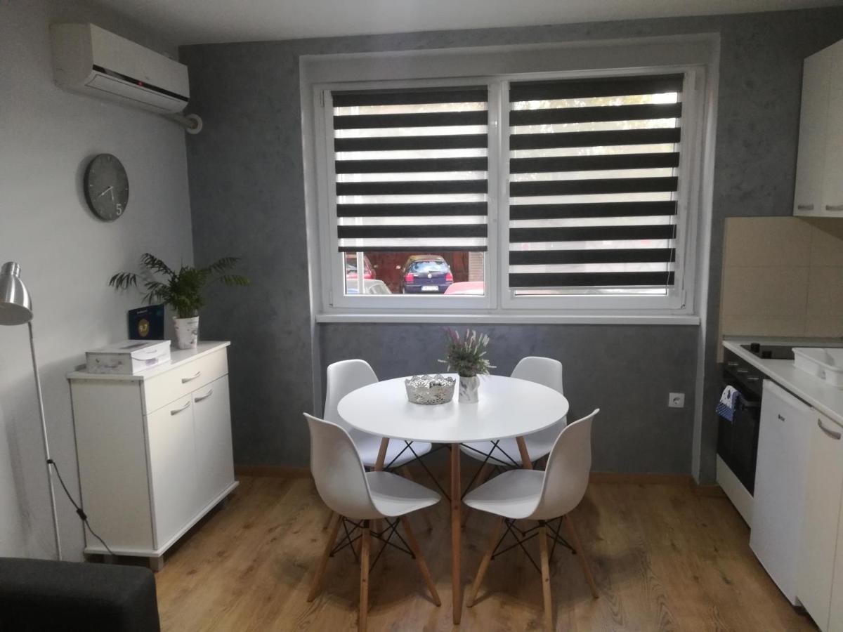 Apartment Marija 斯雷姆斯卡米特罗维察 外观 照片